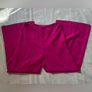 Express Fuchsia Wide Leg Women's Pants